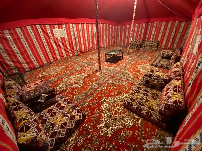 استراحة ومخيمات زهرة الطايف 56