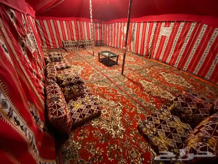 استراحة ومخيمات زهرة الطايف 57