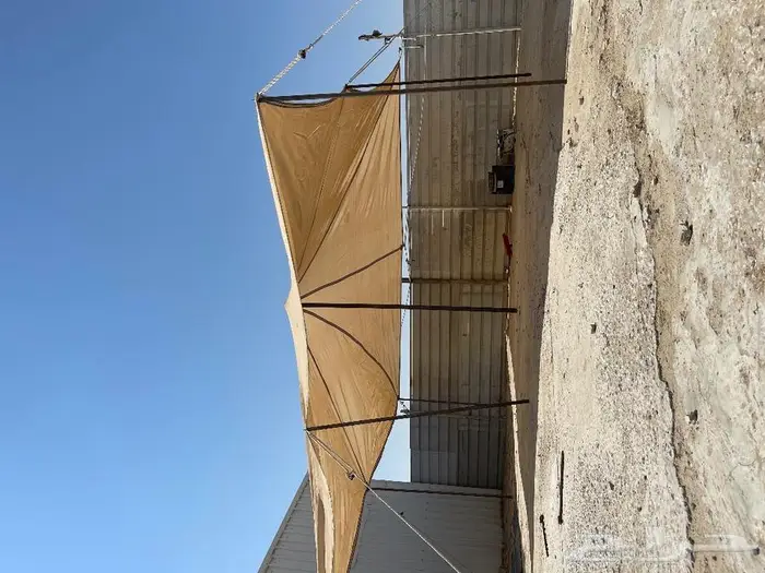 مظلات أغنام 1
