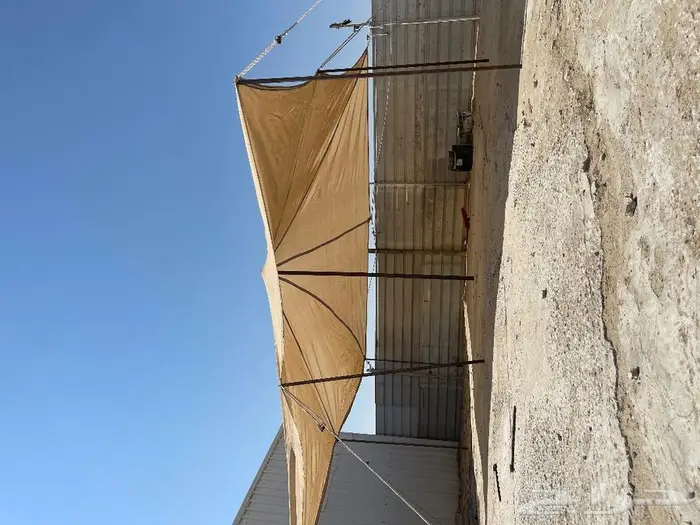 مظلات أغنام 2
