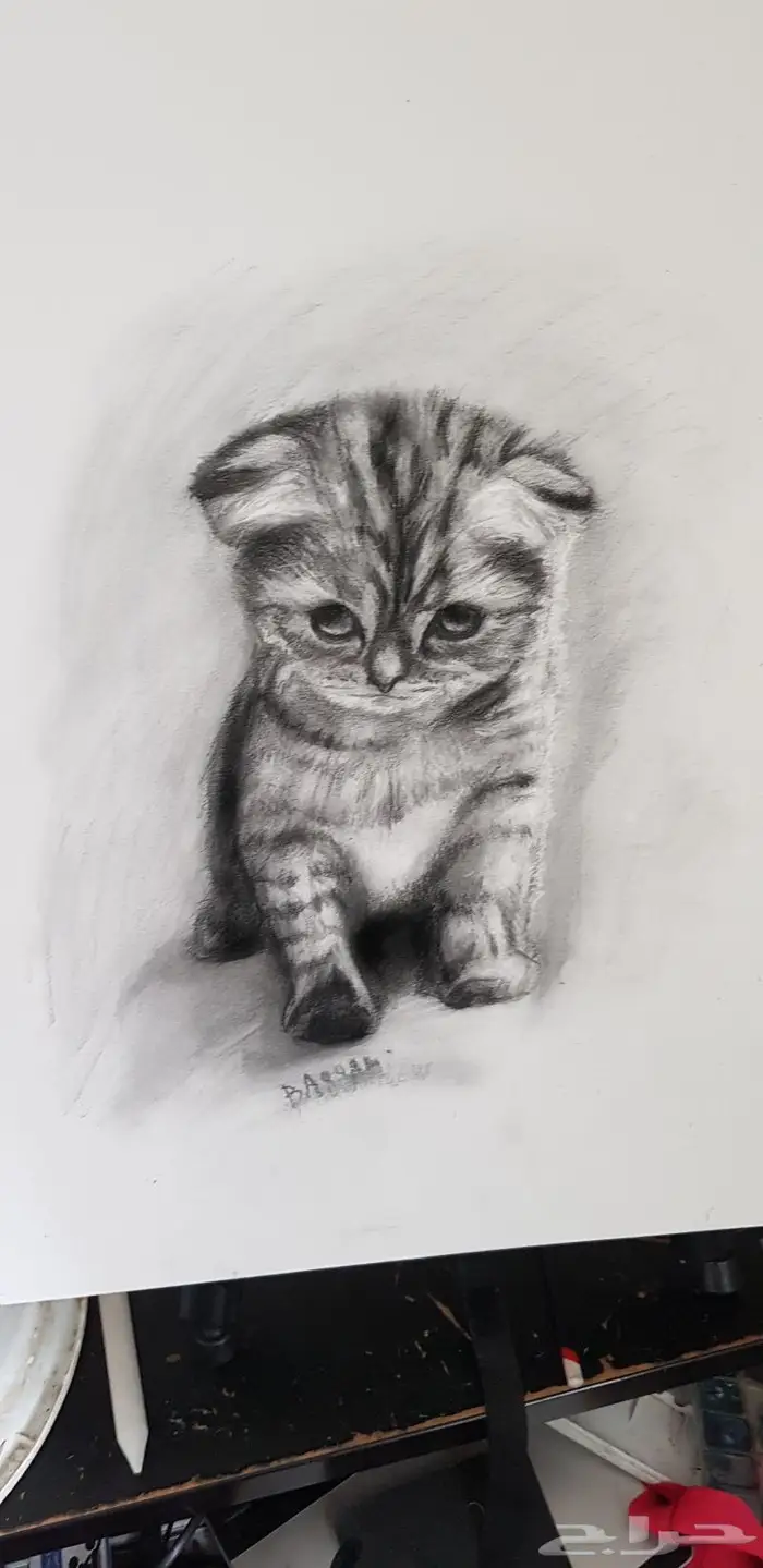 رسام محترف 6