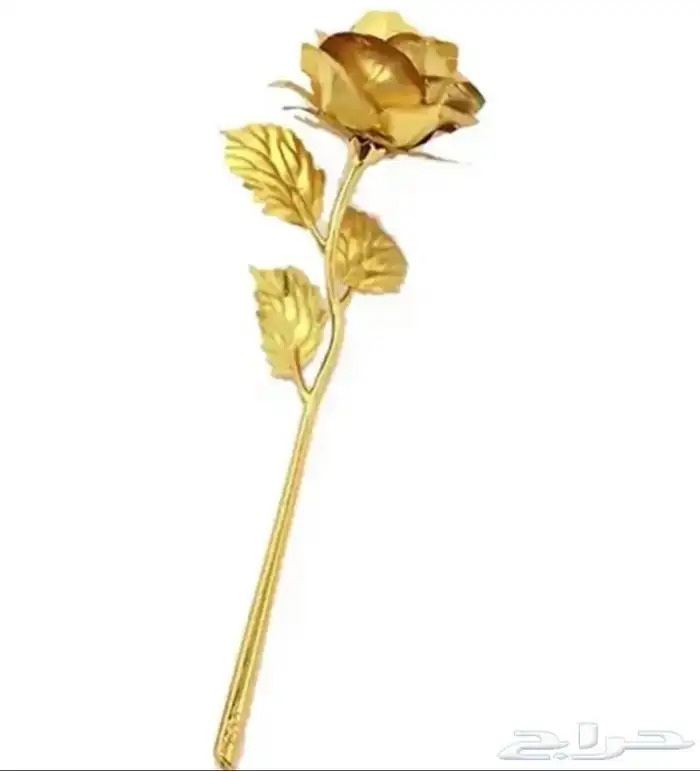 عرض خاص 4 وردات ب 95 1