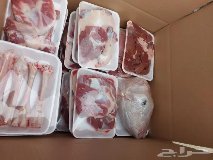 ذبايح ثلاجة مع التغليف وطبخ مع التوصيل 7