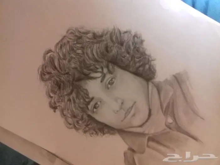 رسام محترف 2