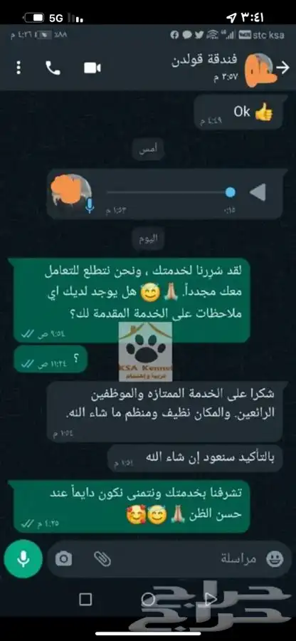فندقة كلاب في شمال جدة 17