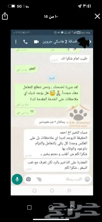 فندقة كلاب في شمال جدة 18