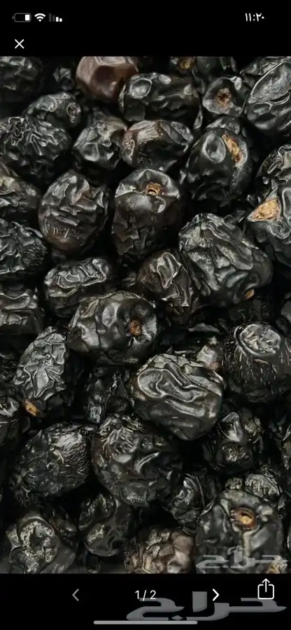 عجوة عالية المدينه وانواع التموور 22