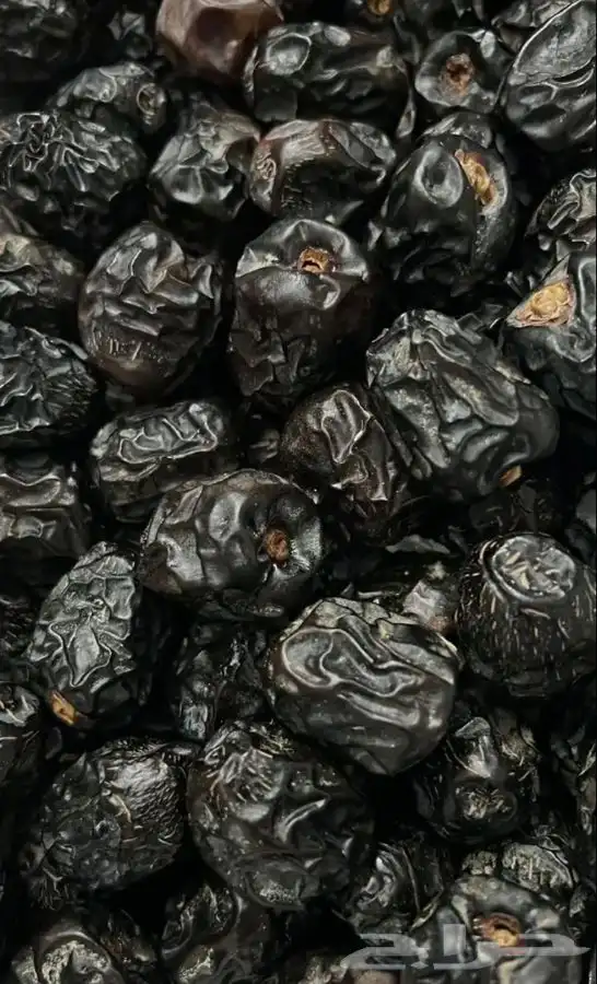 عجوة عالية المدينه وانواع التموور 24