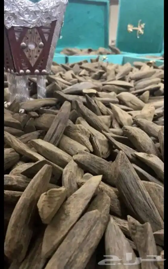 مروكي دبل سوبر نخب اول 0