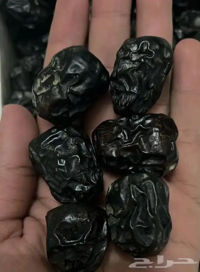 عجوة عالية المدينه وانواع التموور 23