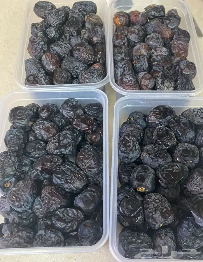 عجوة عالية المدينه وانواع التموور 26