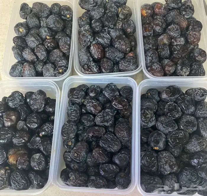 عجوة عالية المدينه وانواع التموور 25