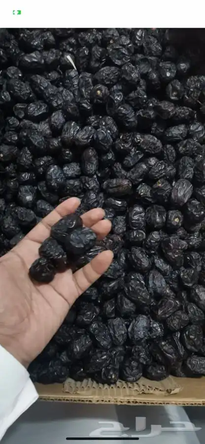 عجوة عالية المدينه وانواع التموور 29