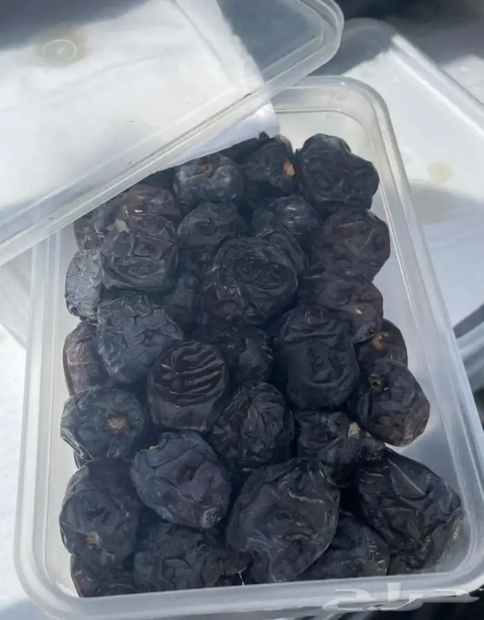 عجوة عالية المدينه وانواع التموور 34