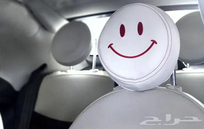 Fiat 500 accessory 1