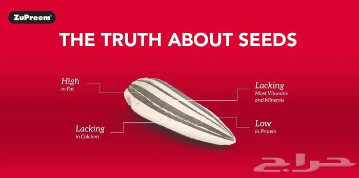 زوبريم اكل كاسكو كوكاتو روز كروان كنيور 7