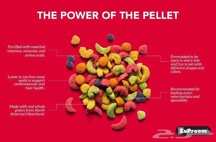 زوبريم اكل كاسكو كوكاتو روز كروان كنيور 3