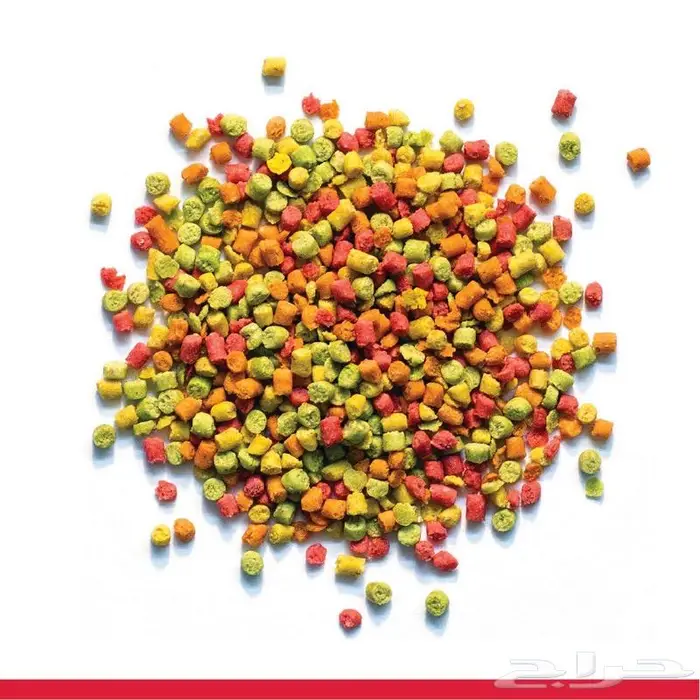 زوبريم اكل كاسكو كوكاتو روز كروان كنيور 9