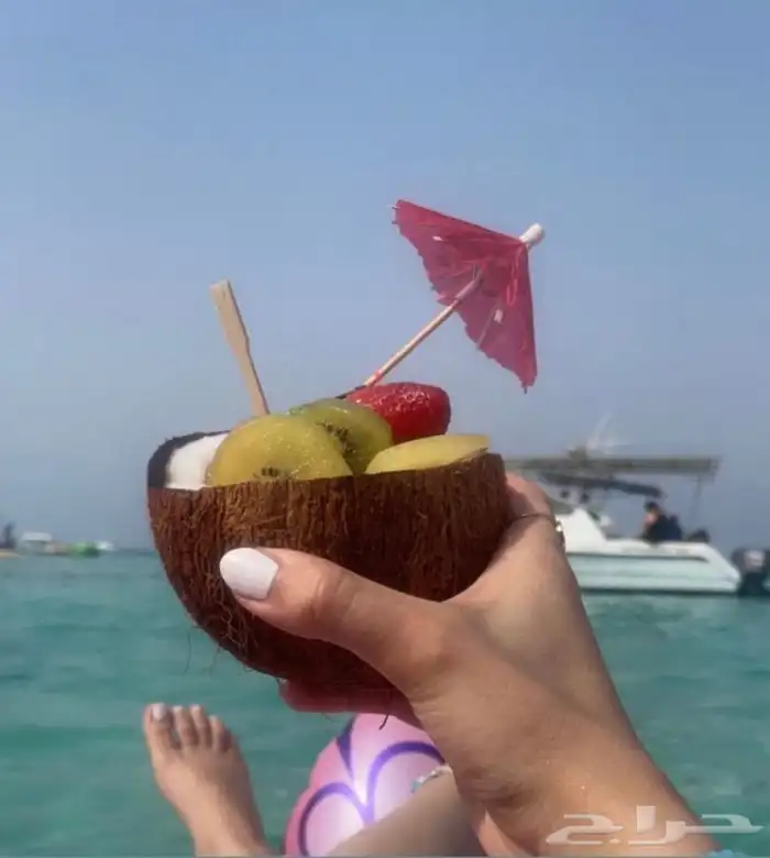 عروض جزيرة بياضة 8