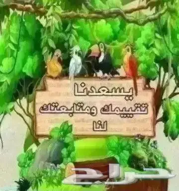 فرخ روز البينو 2