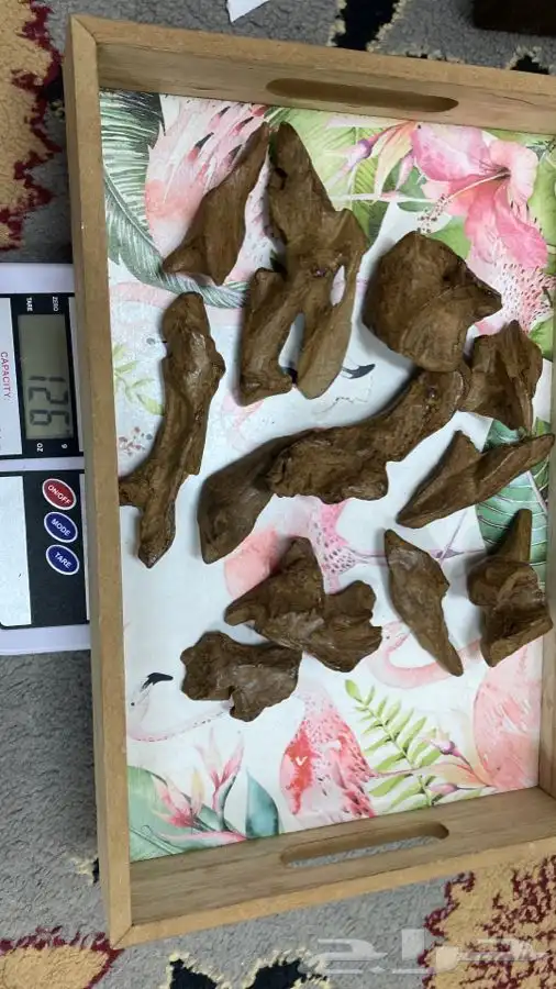 عود طبيعي 1