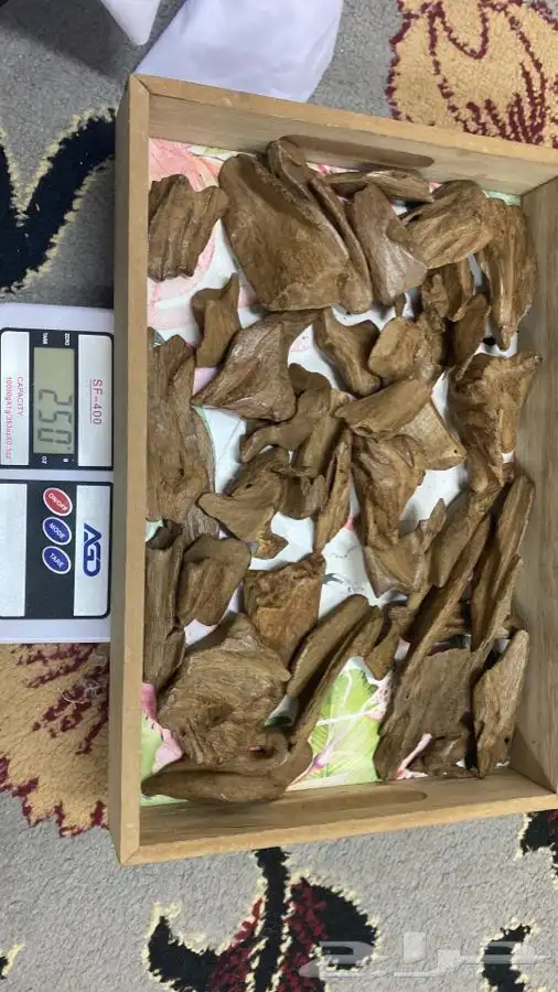 عود طبيعي 3