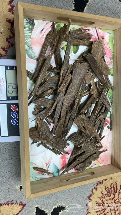 عود طبيعي 2