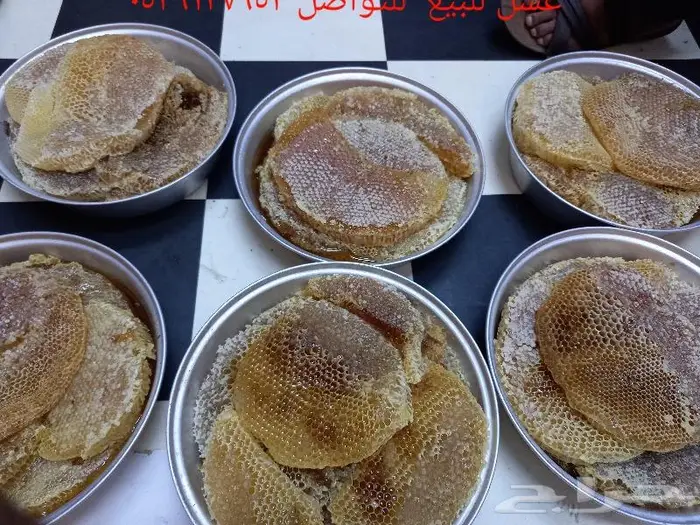 عسل تهامة عسير محصول هسنه 3