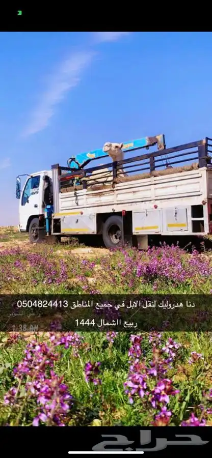 دنا هدروليك لنقل الابل 0