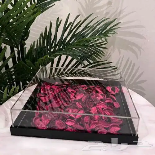 عالم الاكرليك للقص والنحت 5