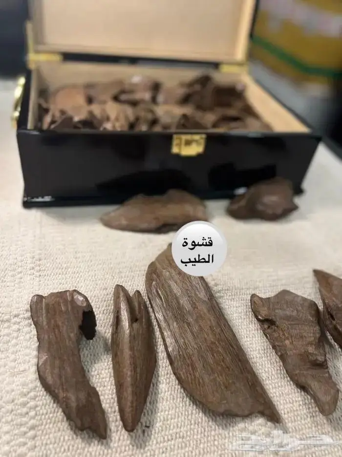 عود موروكي تربل صافي قديم ونادر للجادين فقط .. 1