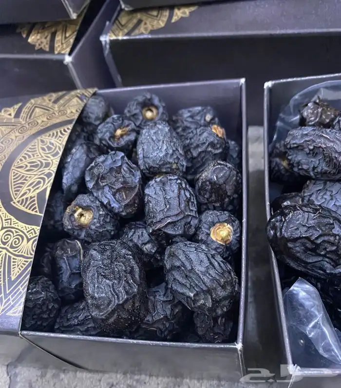 عجووة عالية المدينه 25