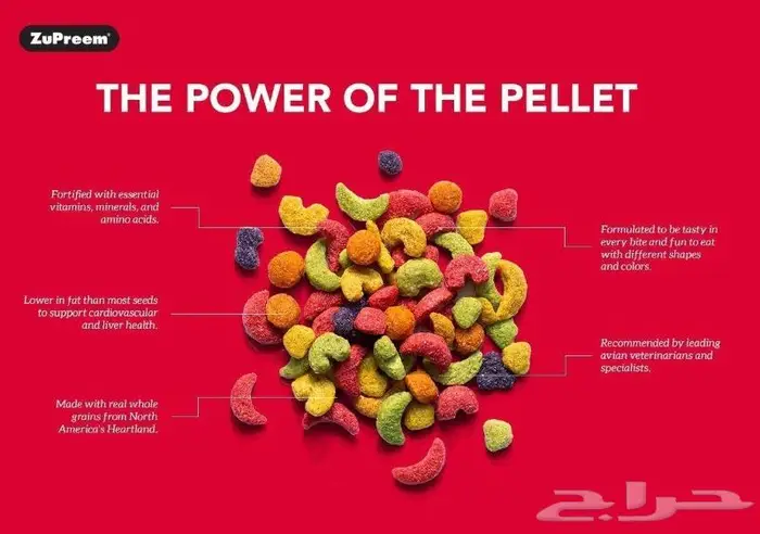 أكل طيور زوبريم مكافئات روز كروان كنيور كاسكو 11