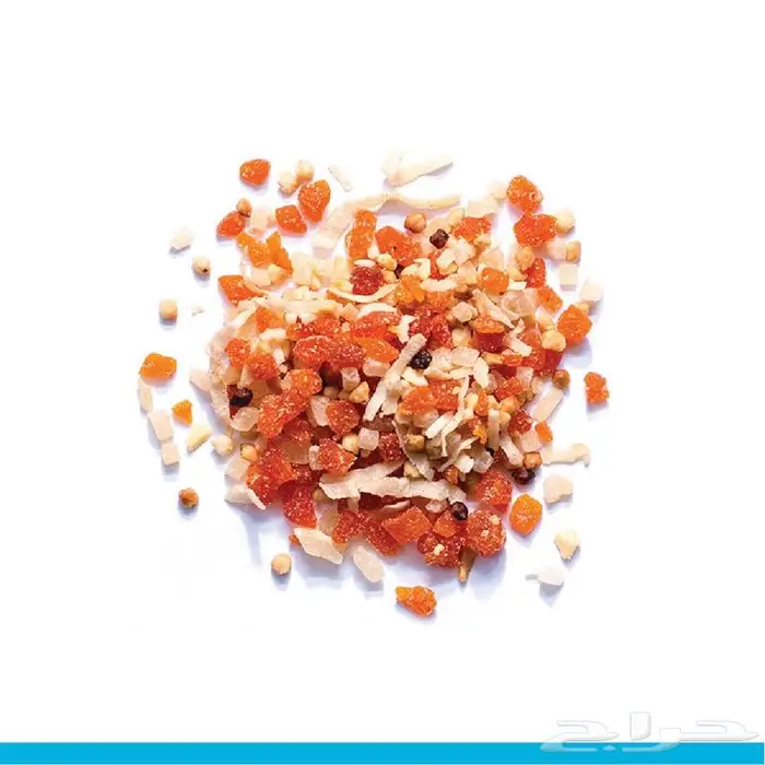 أكل طيور زوبريم مكافئات روز كروان كنيور كاسكو 0