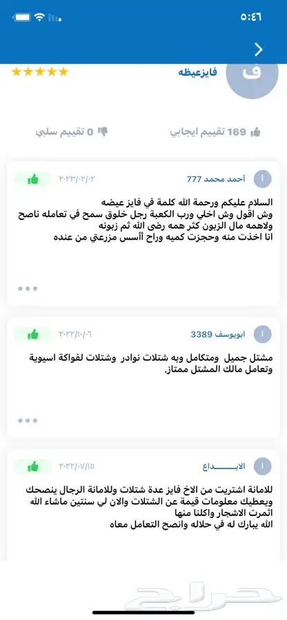 شتلات ظيمران وشتلات منتجه 19