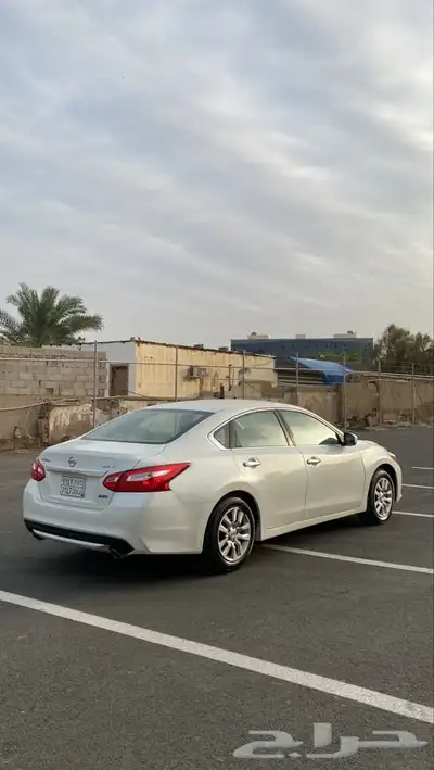 تم البيع الله يبارك للمشتري 4