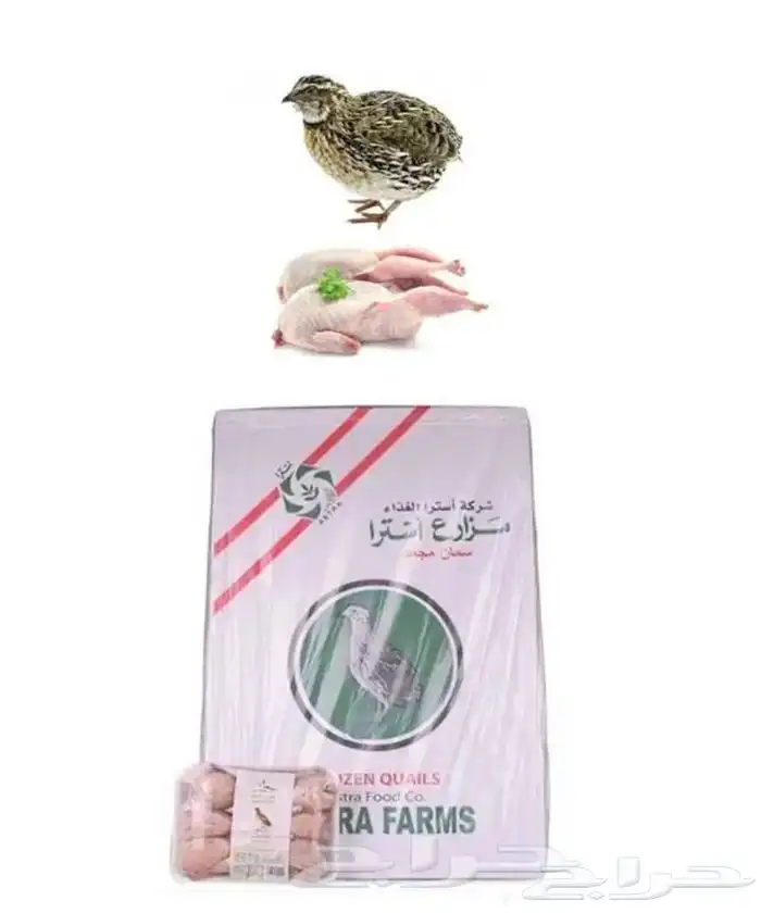توصيل كرتون سمان مجمد 96 حبة 0