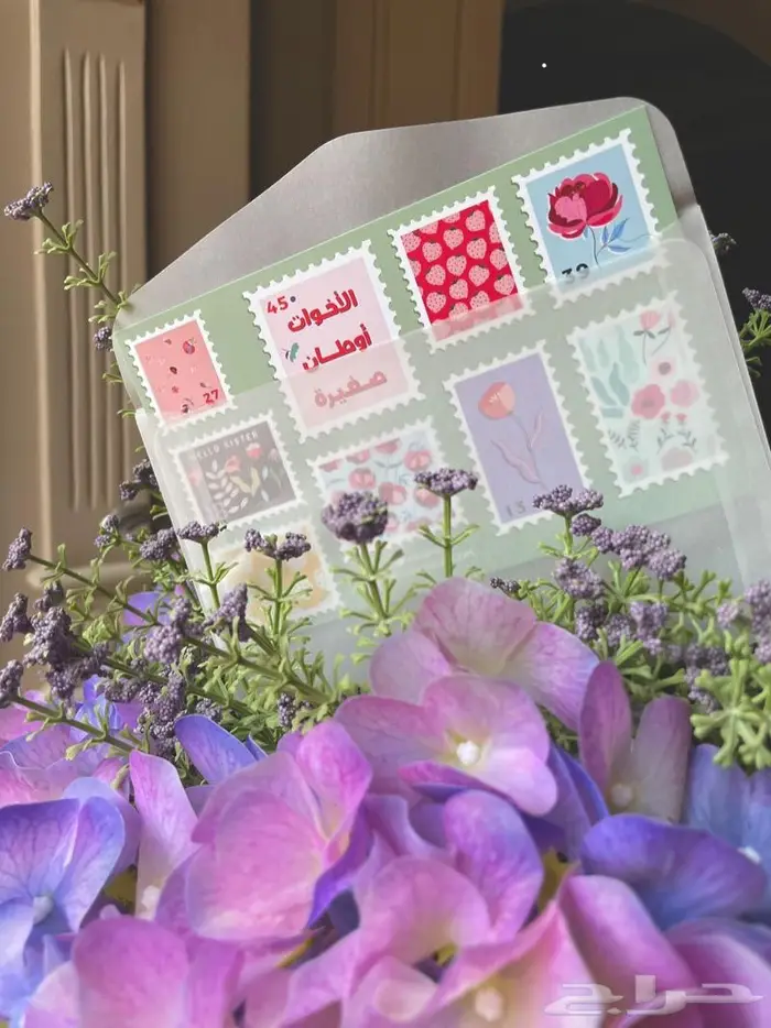 تصفية بطاقات بسعر خيالي 1