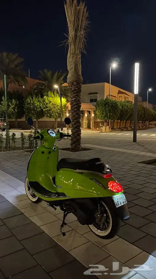 عجيب اوركس (تم البيع) 4