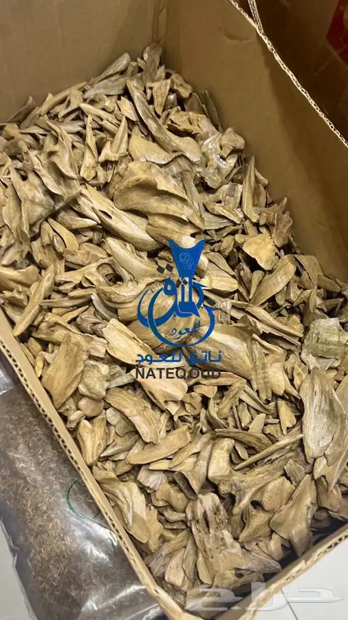 عود موروكي اصقون طبيعي ملكي دبل سوبر نوادر العود 0