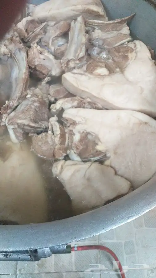 طباخ متنقل تحت اشرافي شخصيآ 1