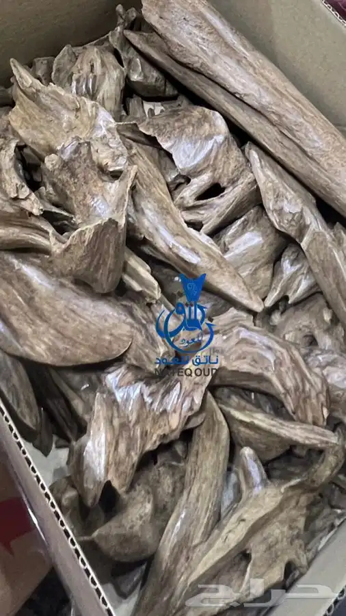 عود موروكي اصقون طبيعي ملكي دبل سوبر نوادر العود 3