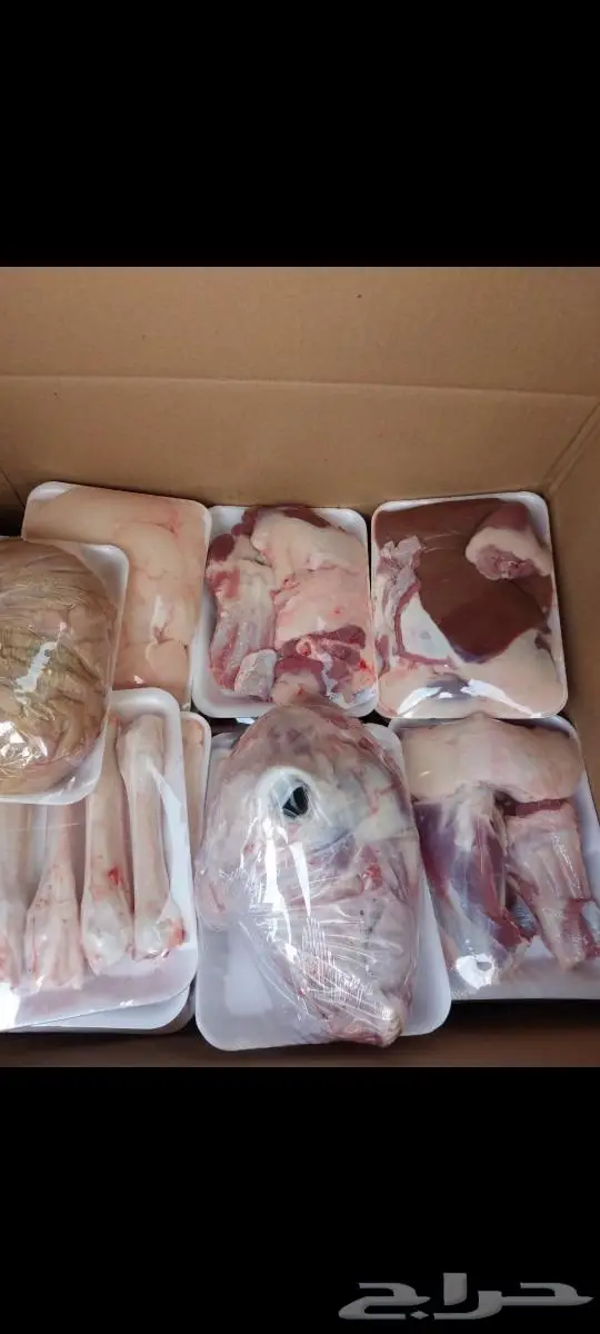 ذبايح غنم حري سواكني ذبح ثلاجة وطبخ مع التوصي 4