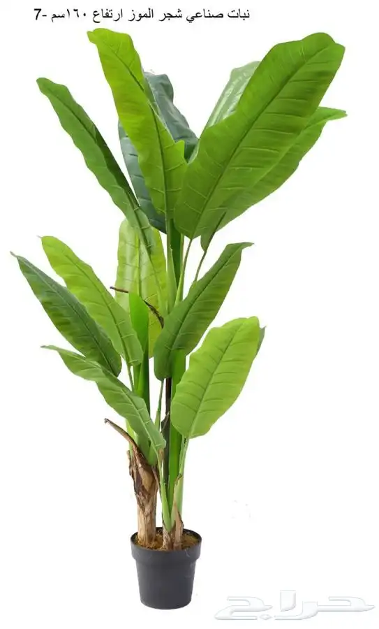 عشب صناعي وديكورات حدائق جملة الجمله 19