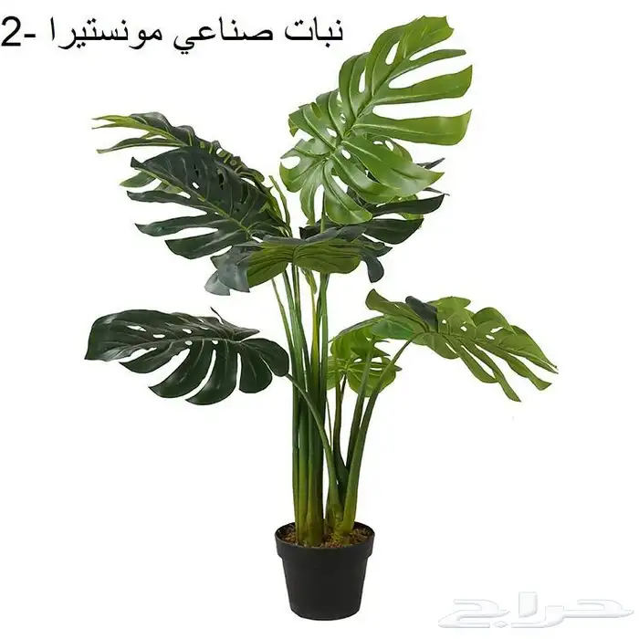 عشب صناعي وديكورات حدائق جملة الجمله 17