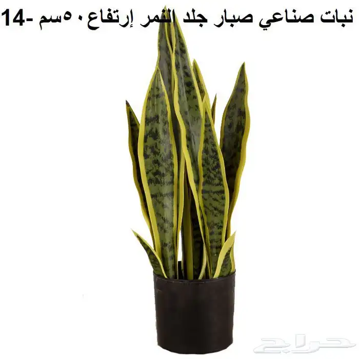عشب صناعي وديكورات حدائق جملة الجمله 18