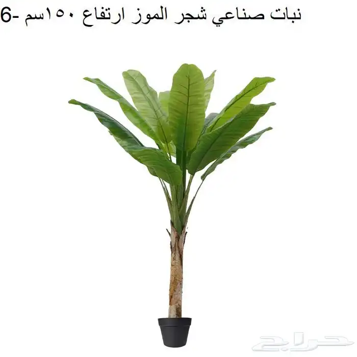 عشب صناعي وديكورات حدائق جملة الجمله 20
