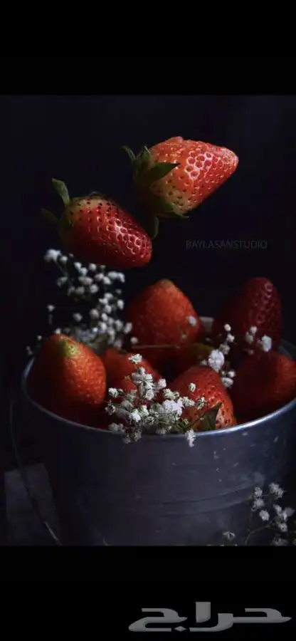 تصوير احترافي   6