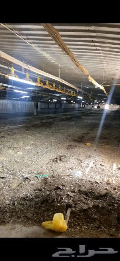 سماد ابقار سماد دواجن 1