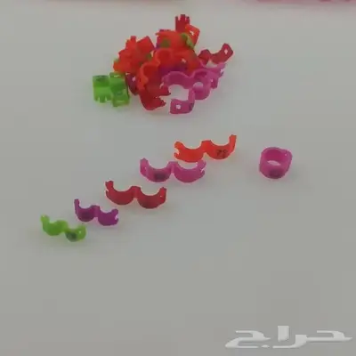 حجول خواتم طيور البادجي الكناري الزيبرا 0